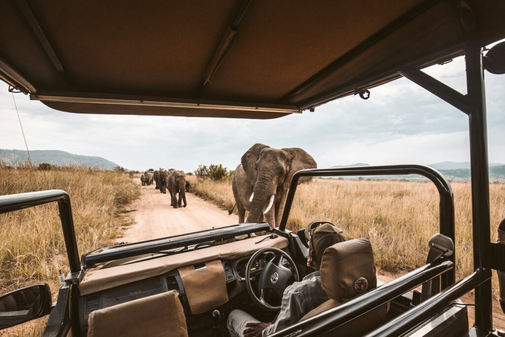 Jeremy Wallace, Safari Micro: How MSPs can win efficiency, not just price