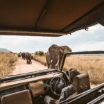 Jeremy Wallace, Safari Micro: How MSPs can win efficiency, not just price